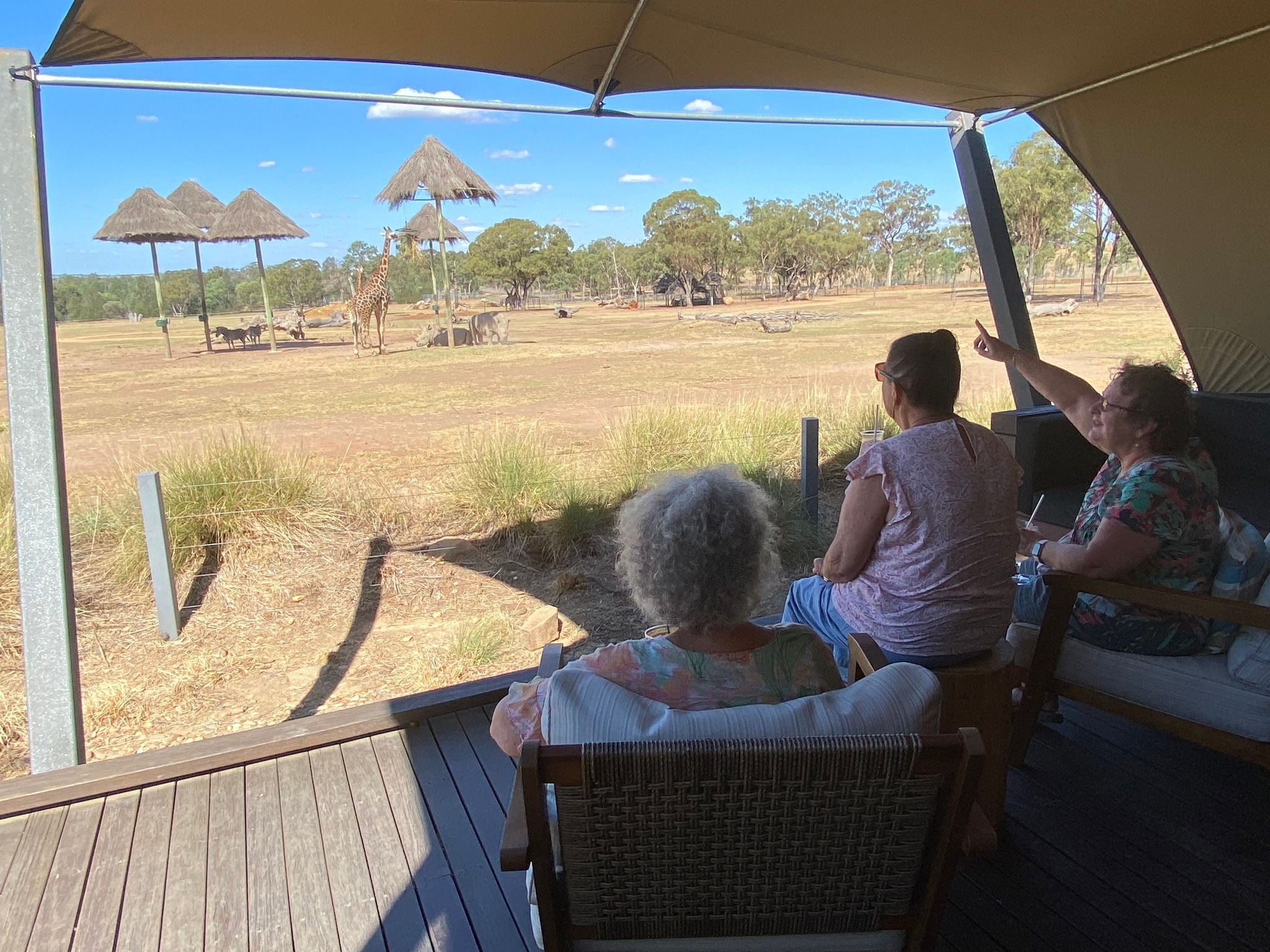 Dubbo Zoo 2025 Image -67de04ca93f32